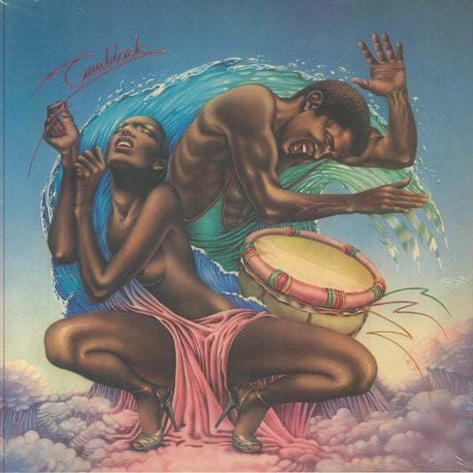 Tumblack - Vinyl LP vinyl record cover