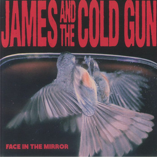 Face In The Mirror - Cherry Vinyl LP vinyl record cover