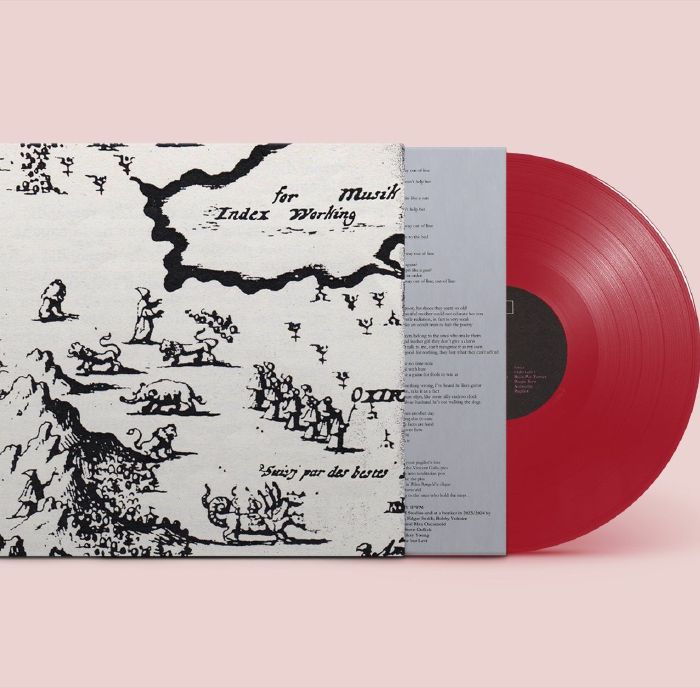 Which Direction Goes The Beam - Red Vinyl LP vinyl record cover