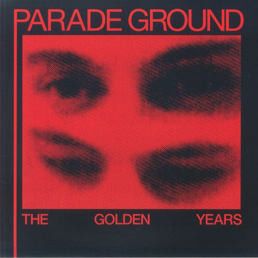 The Golden Years (Remastered) - Vinyl LP vinyl record cover