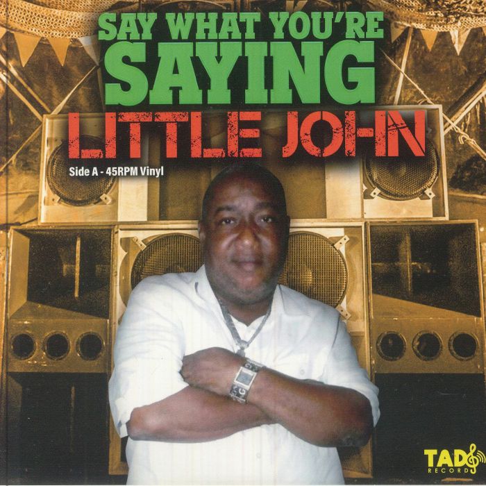 Say What You're Saying - Vinyl Single vinyl record cover