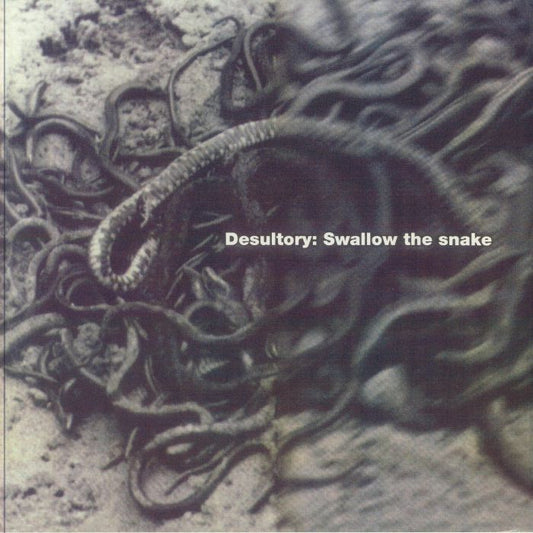 Swallow The Snake - Limited Edition Clear Splatter Vinyl LP vinyl record cover