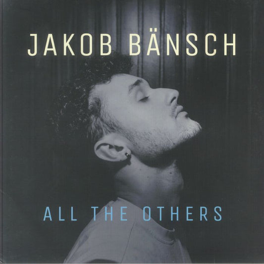 All The Others - Vinyl LP vinyl record cover