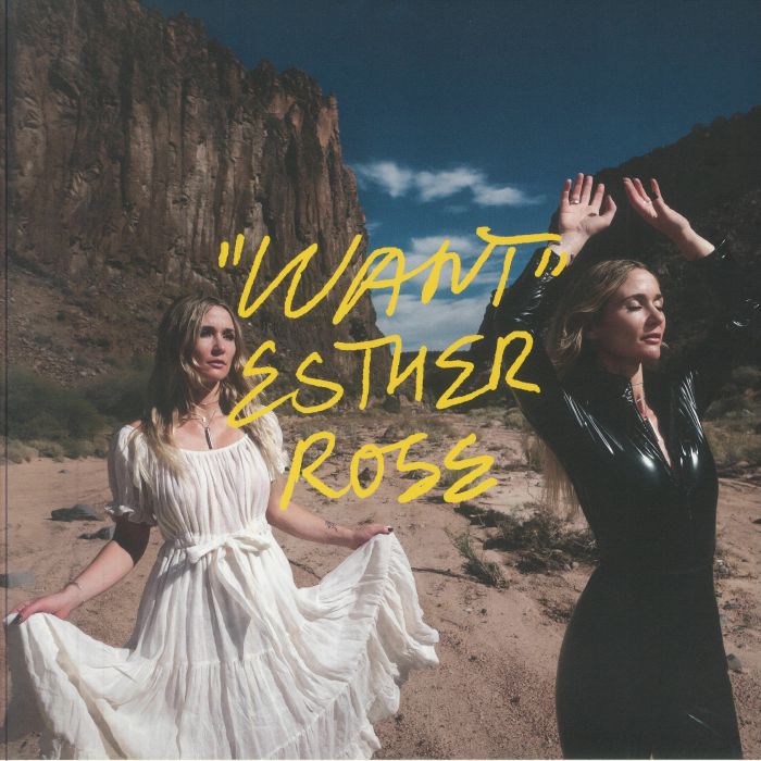 Want - Vinyl LP vinyl record cover