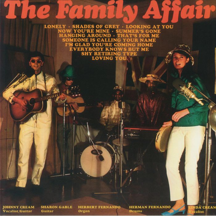 The Family Affair - Vinyl LP vinyl record cover
