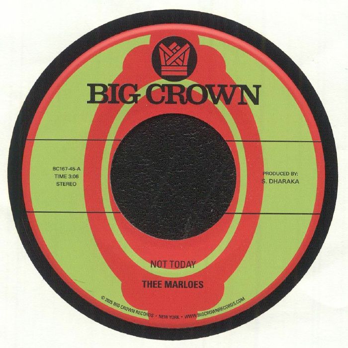 Not Today - Vinyl Single vinyl record cover