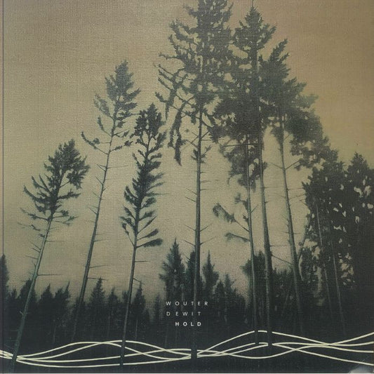 Hold - Vinyl LP vinyl record cover