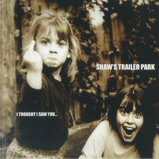 I Thought I Saw You - Vinyl LP vinyl record cover
