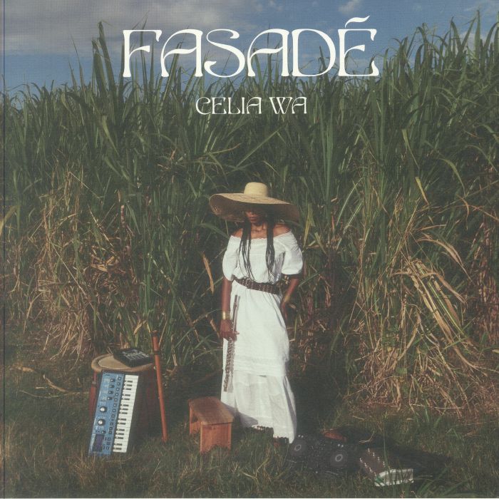 Fasade - Vinyl LP vinyl record cover