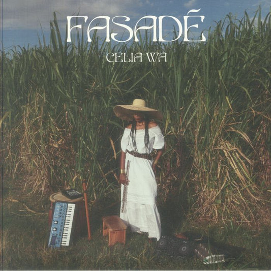 Fasade - Vinyl LP vinyl record cover