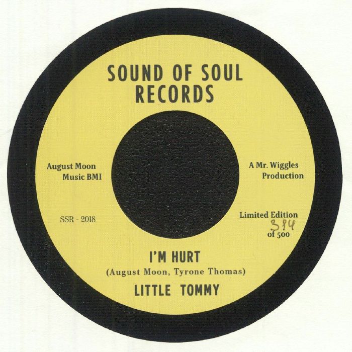 I'm Hurt - Limited Edition Vinyl Single vinyl record cover