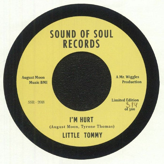 I'm Hurt - Limited Edition Vinyl Single vinyl record cover