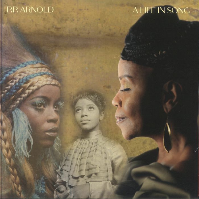 Soul Survivor: A Life In Song - Limited Edition 2xLP vinyl record cover