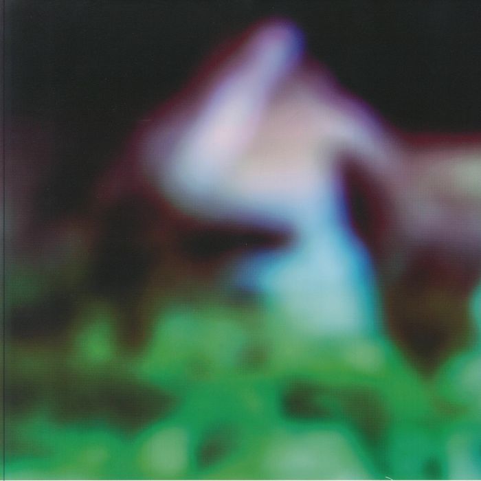 Disc Rot - Vinyl LP vinyl record cover