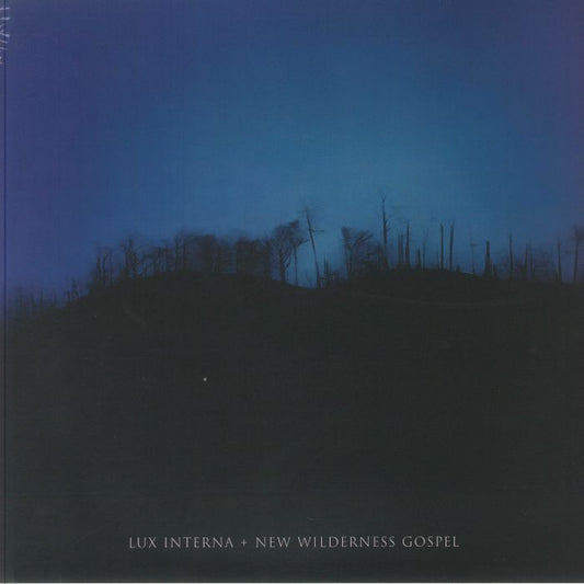 New Wilderness Gospel - 2xLP vinyl record cover