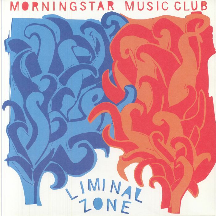 Liminal Zone - Vinyl LP vinyl record cover