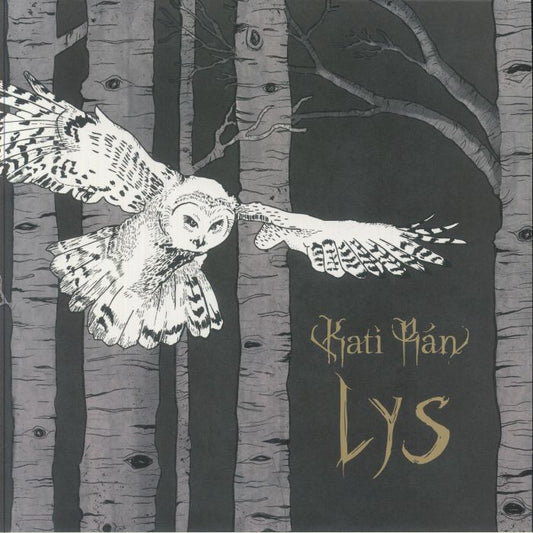 LYS - Clear Vinyl LP vinyl record cover