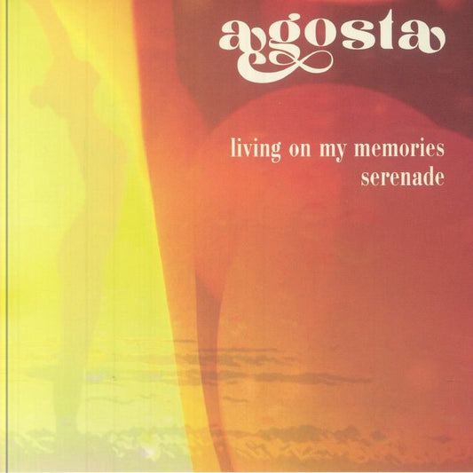 Living On My Memories - Vinyl Single vinyl record cover