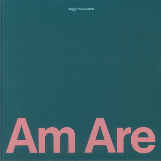 Am Are - 2xLP vinyl record cover