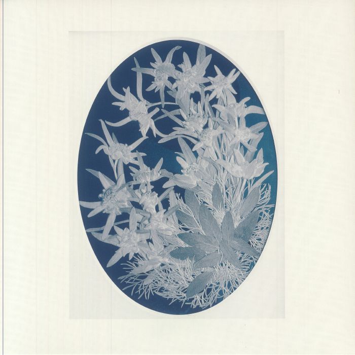 Untitled II - Vinyl LP vinyl record cover