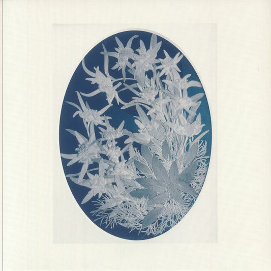 Untitled II - Vinyl LP vinyl record cover