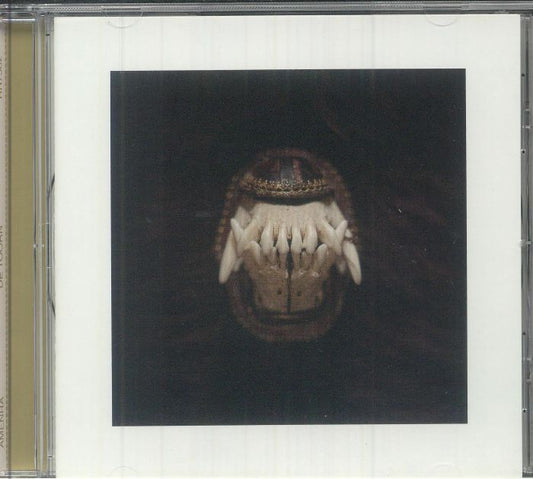 De Toorn - CD Single CD cover