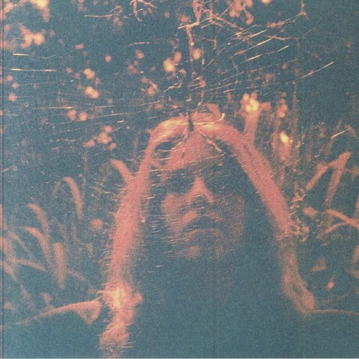 Peripheral Vision - 10 Year Anniversary Citrus Marbled Vinyl LP vinyl record cover