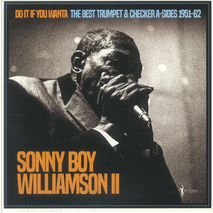 Do It If You Wanta: Best A Sides 1951-62 - Vinyl LP vinyl record cover
