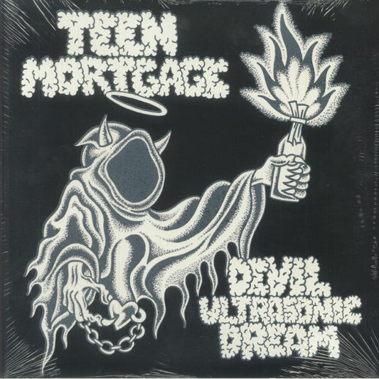 Devil Ultrasonic Dream - Vinyl LP vinyl record cover