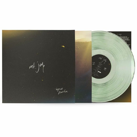 Hope We Have Fun - Green Vinyl LP vinyl record cover