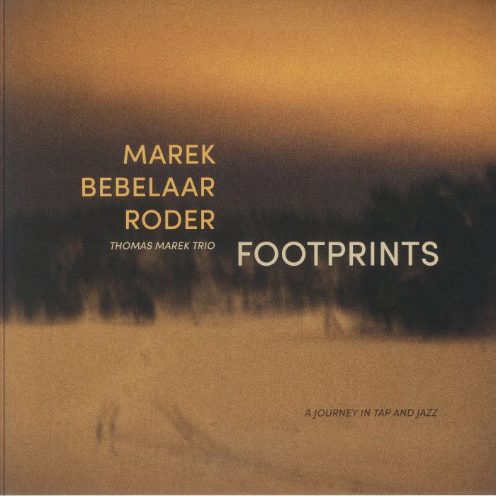 Footprints - Vinyl LP vinyl record cover