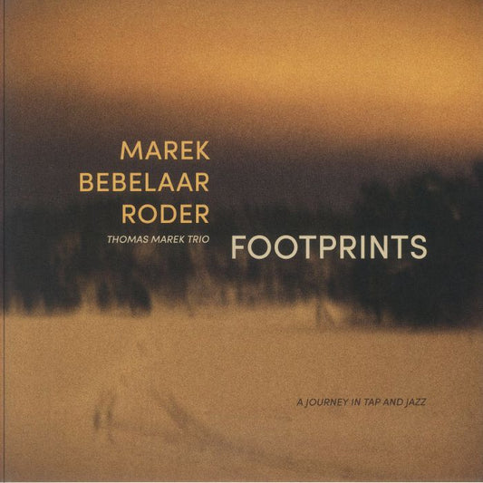 Footprints - Vinyl LP vinyl record cover