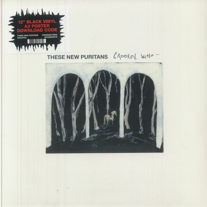 Crooked Wing - Vinyl LP vinyl record cover