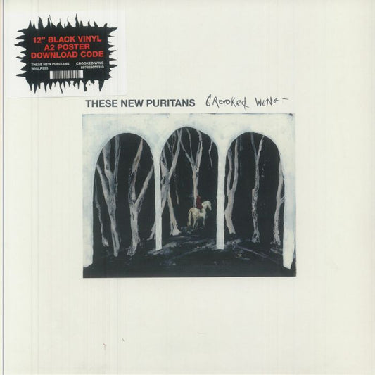 Crooked Wing - Vinyl LP vinyl record cover
