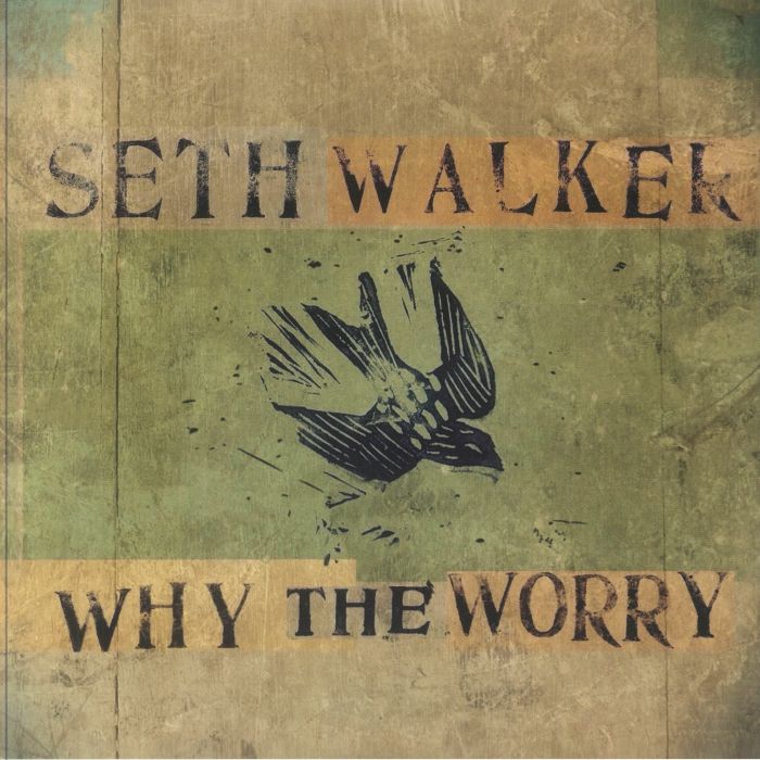 Why The Worry - Vinyl LP vinyl record cover