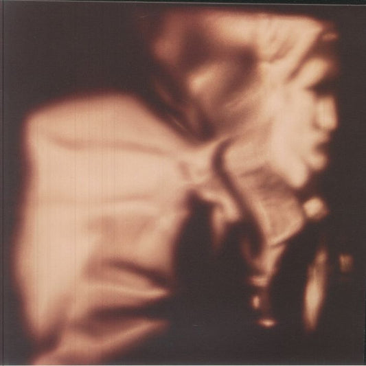 Harbinger - Vinyl LP vinyl record cover