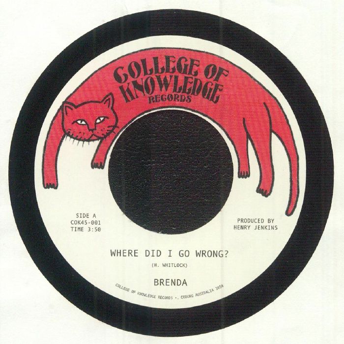 Where Did I Go Wrong? - Vinyl Single vinyl record cover