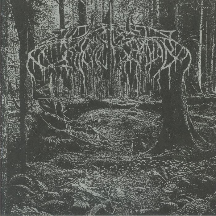2005 Demo - Black Ice Vinyl LP vinyl record cover