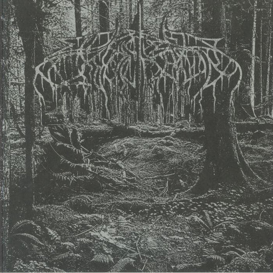 2005 Demo - Black Ice Vinyl LP vinyl record cover