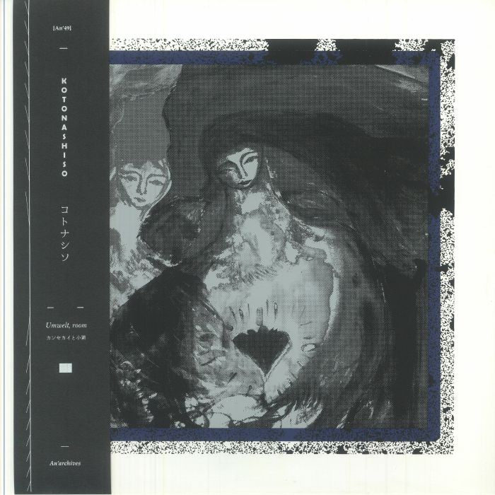 Umwelt Room - Limited Edition Vinyl LP vinyl record cover