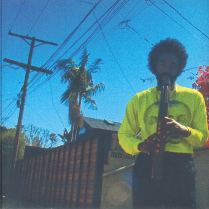 Moving Day - Vinyl LP vinyl record cover