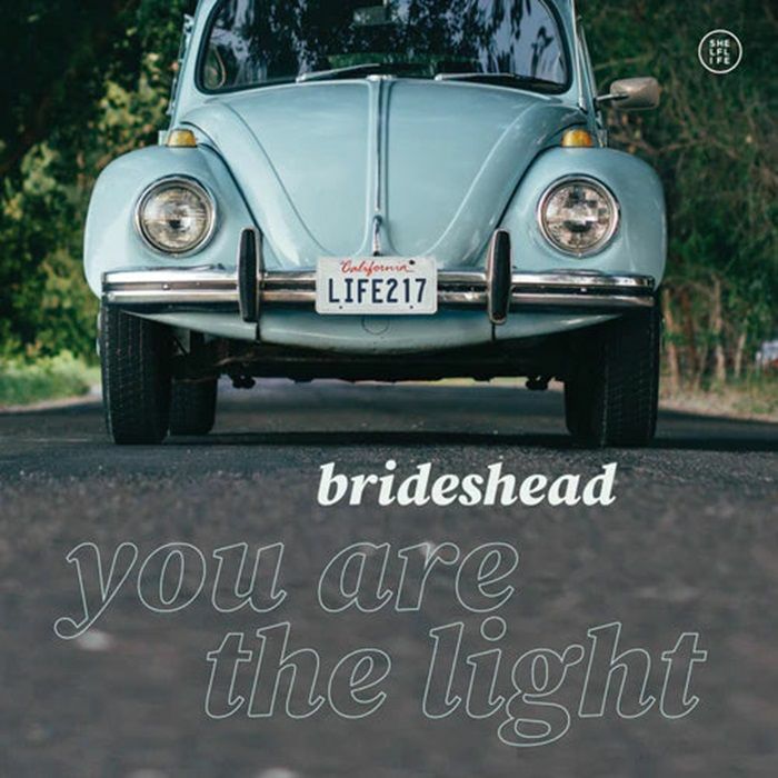 You Are The Light - Vinyl LP vinyl record cover