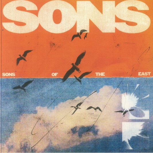 Sons - Vinyl LP vinyl record cover
