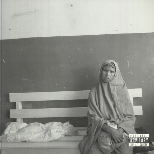 God Sent Vengeance - 2xLP vinyl record cover