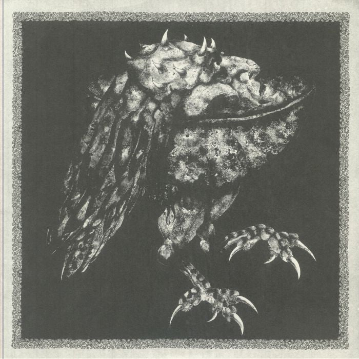 Ruab - Vinyl LP vinyl record cover