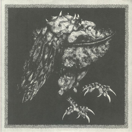 Ruab - Vinyl LP vinyl record cover