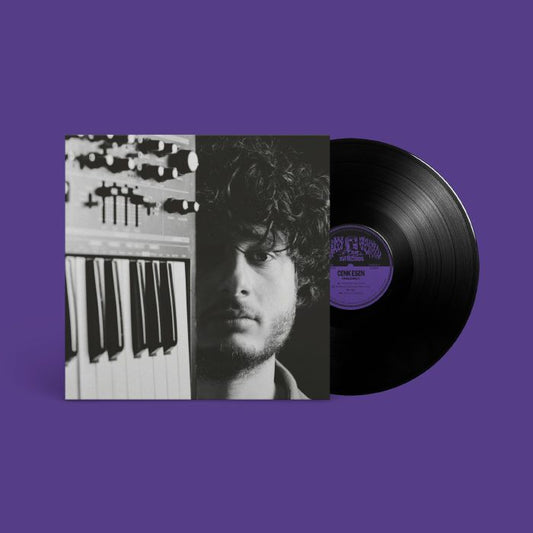 Endlessly - Vinyl LP vinyl record cover