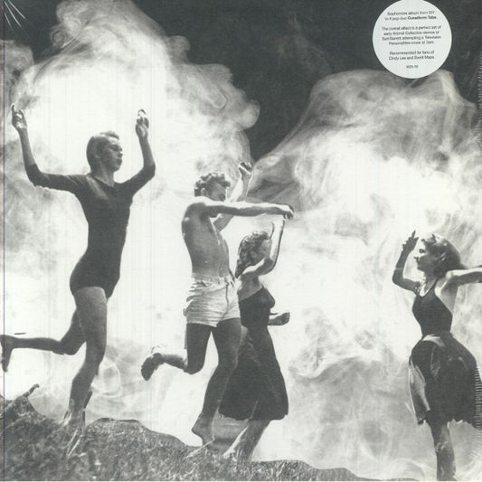 Age - Vinyl LP vinyl record cover