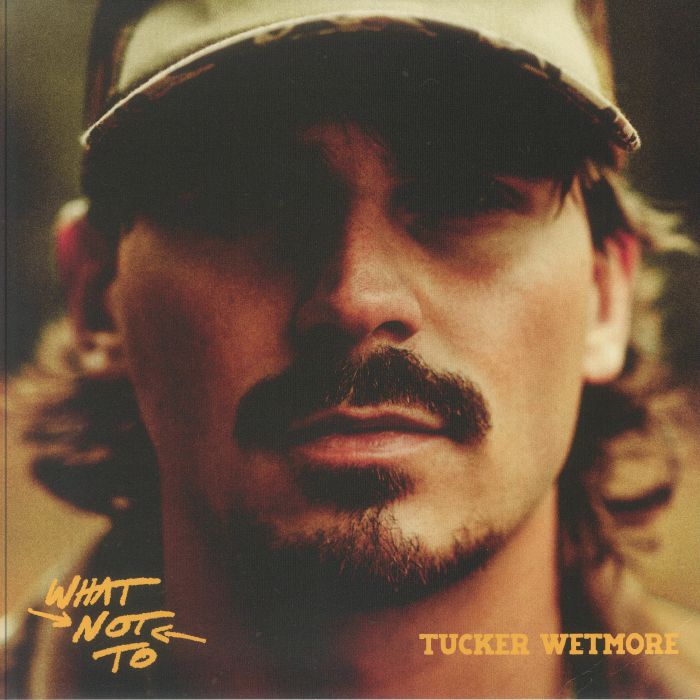 What Not To - 2xLP vinyl record cover