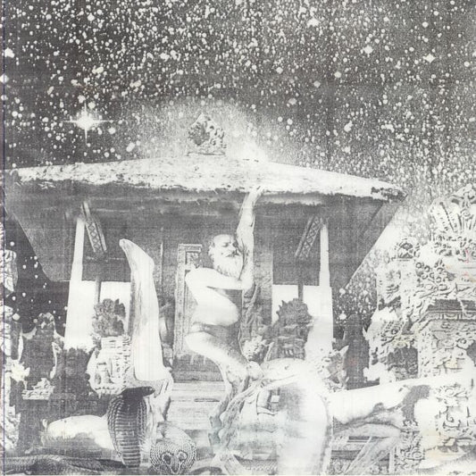 Snakinist Sand Form / No Jaw Nite Rights - Vinyl LP vinyl record cover